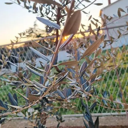 Chi Chi Apartment Pula